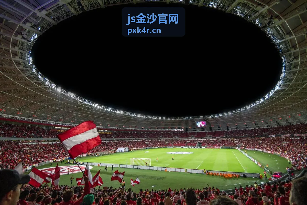 js金沙官网热映影片月下追光